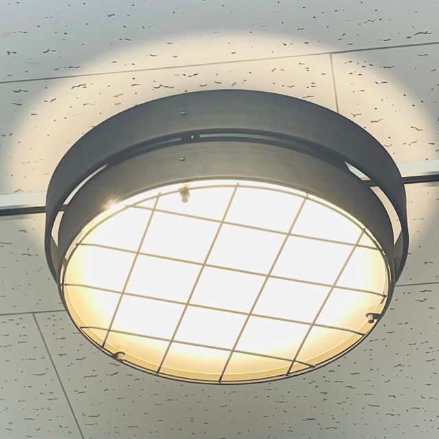 Ampoule AMP51124 【】 動作保証 ラウタ LED シーリング 照明