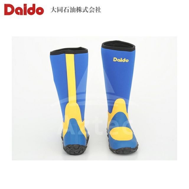 DS09