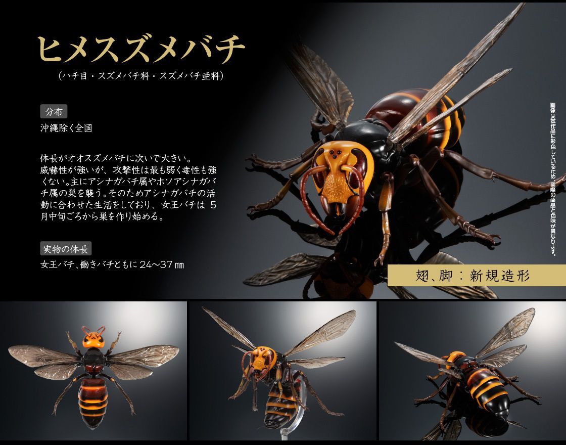【リペイント品②】スズメバチ バンダイ ガチャガチャ 再塗装オレンジ暗めver ガチャ スズメバチ 塗装品 - メルカリ