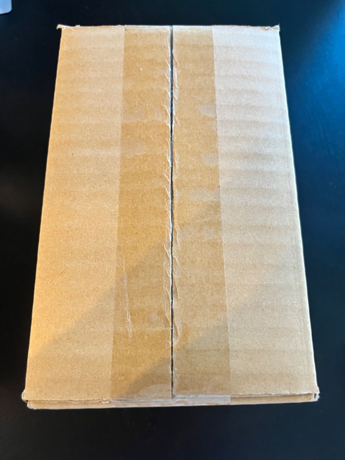 マジック：ザ・ギャザリング Summer Superdrop 2025 The Summer