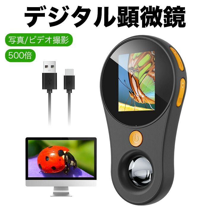 佃眞吾さん 折りたたみ式お弁当箱