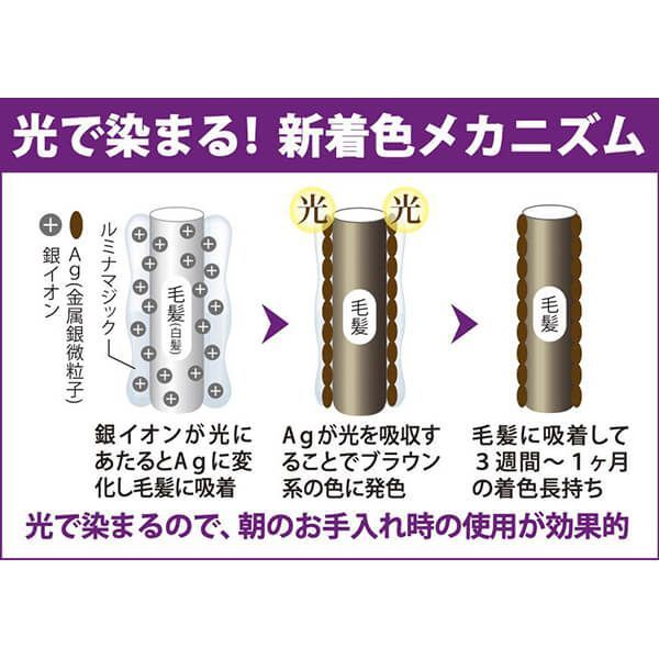 ルミナマジック S2 75g 2個セット ヘアカラー 男性用 女性用 送料無料 ルミナマジック S2 75g 2個セット ヘアカラー 男性用 女性用 送料無料