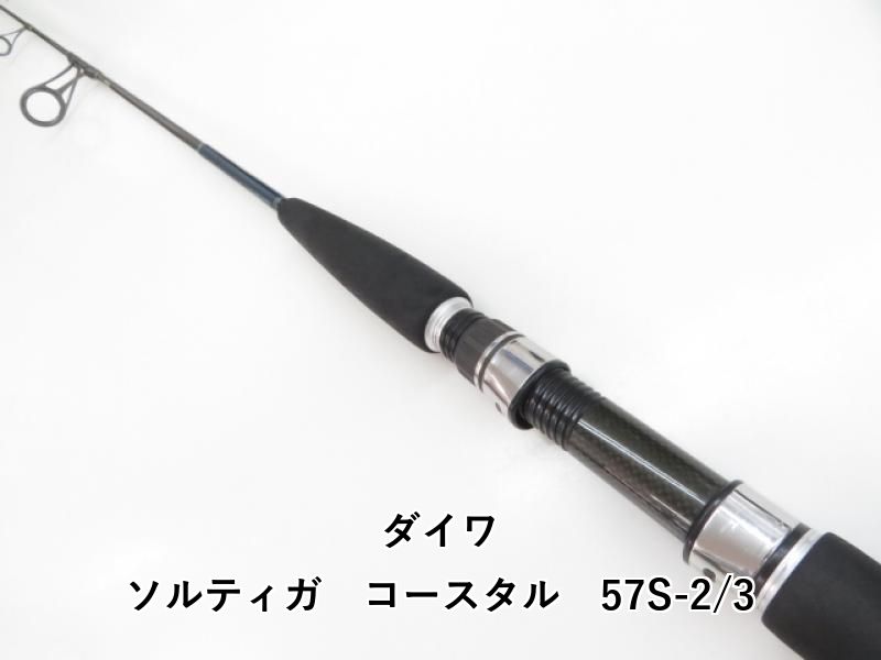 DAIWA ソルティガT30 ダイワ(Daiwa) ソルティガ Z20L 00607218｜アウトドア用品・釣り