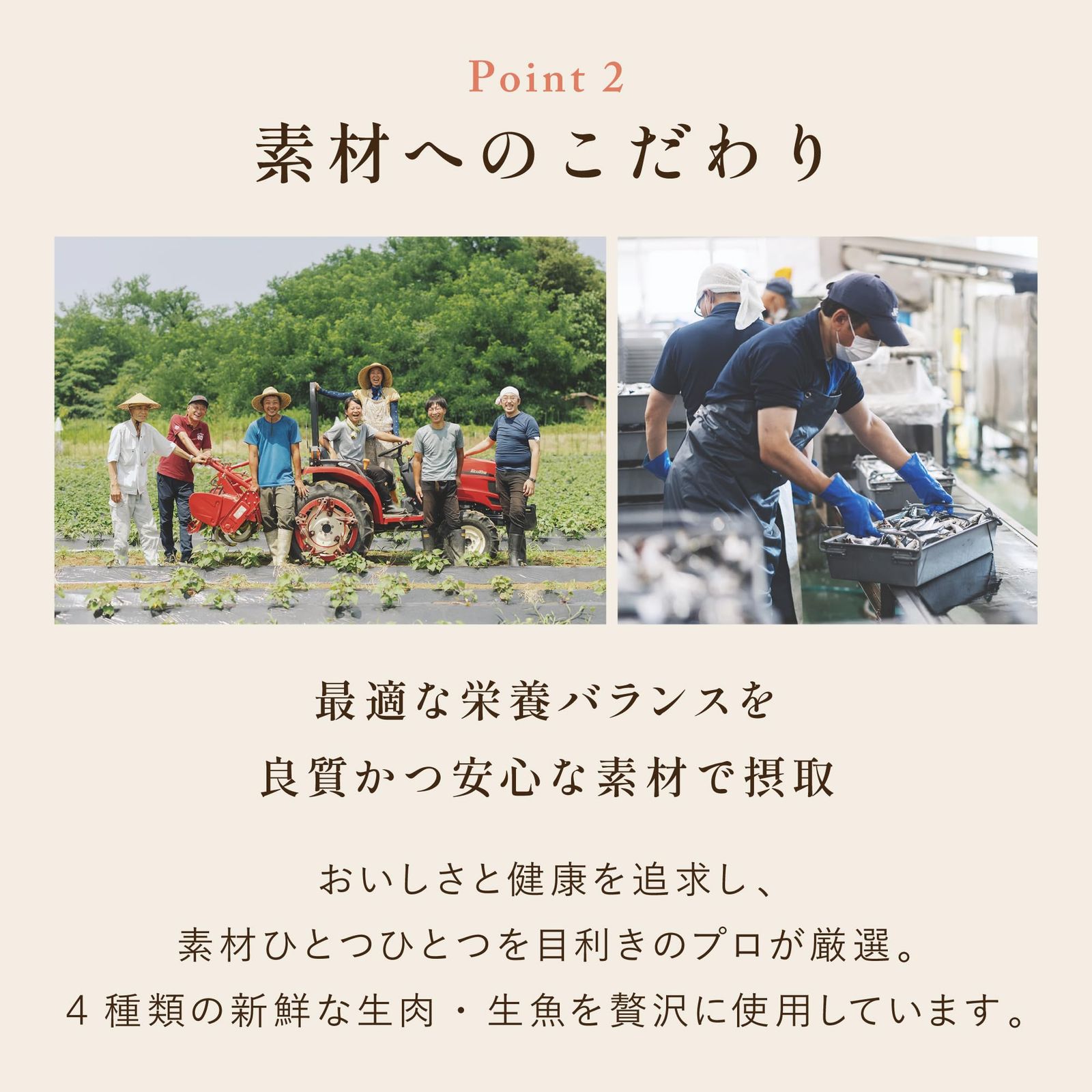 キャットフードオールステージ 金沢港の朝獲れ魚味