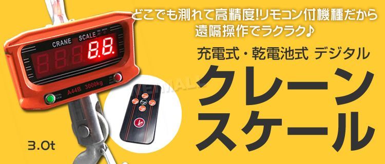 デジタルクレーンスケール