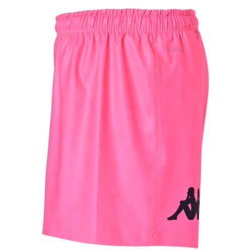 公式モデル 日本未発売