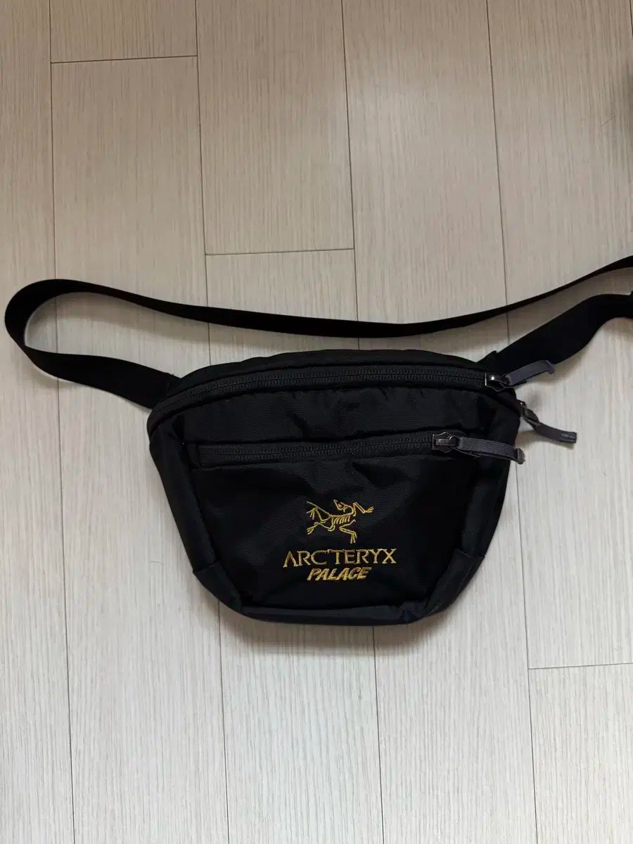 アークテリクス x パレス マンティス1