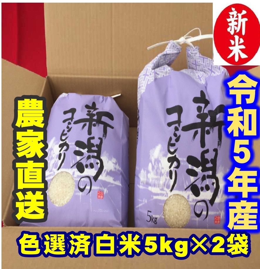 新米・令和5年産 新潟 新之助 白米5kg × 2個☆農家直送☆色彩選別済21