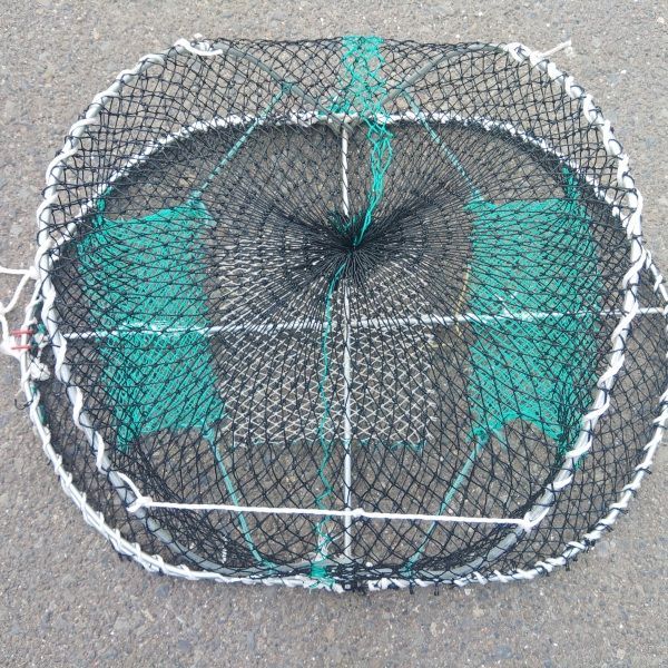 魚捕り