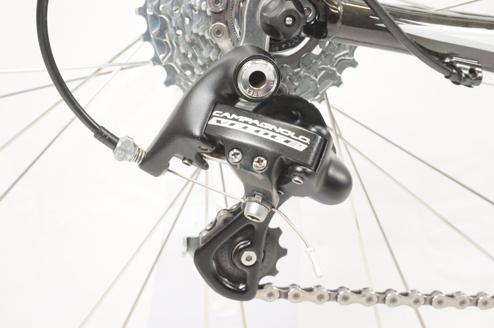 KUOTA クオータ