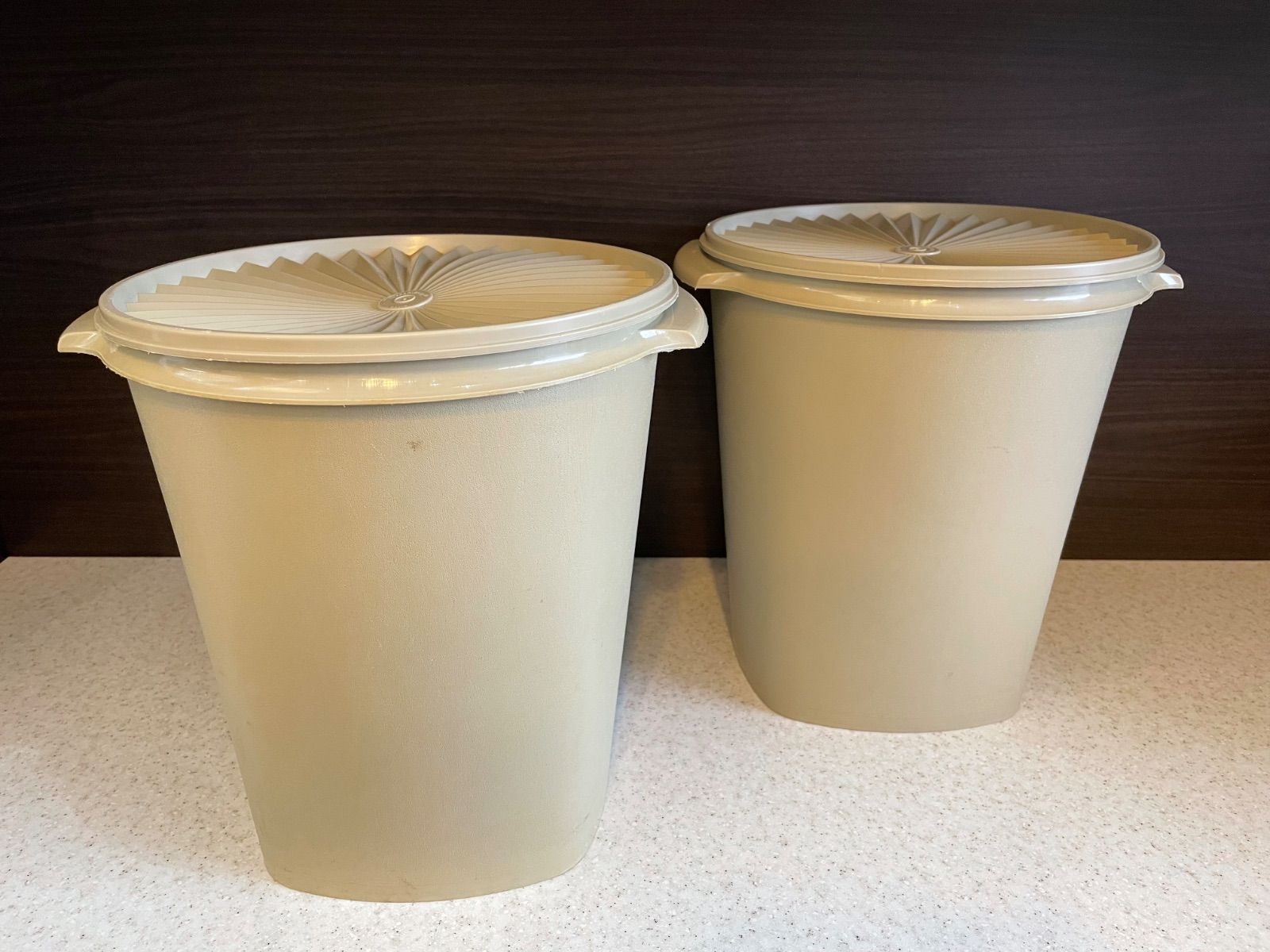 タッパーウェア マキシデコレーター 2個セット タッパーウェア