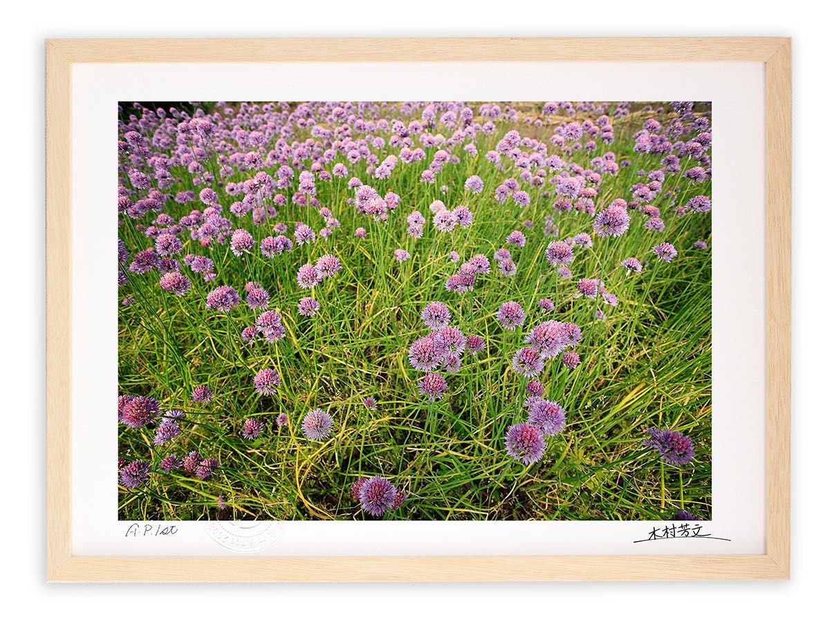 大きなファブリックパネル❣️ミナペルホネンmetsa ファブリック