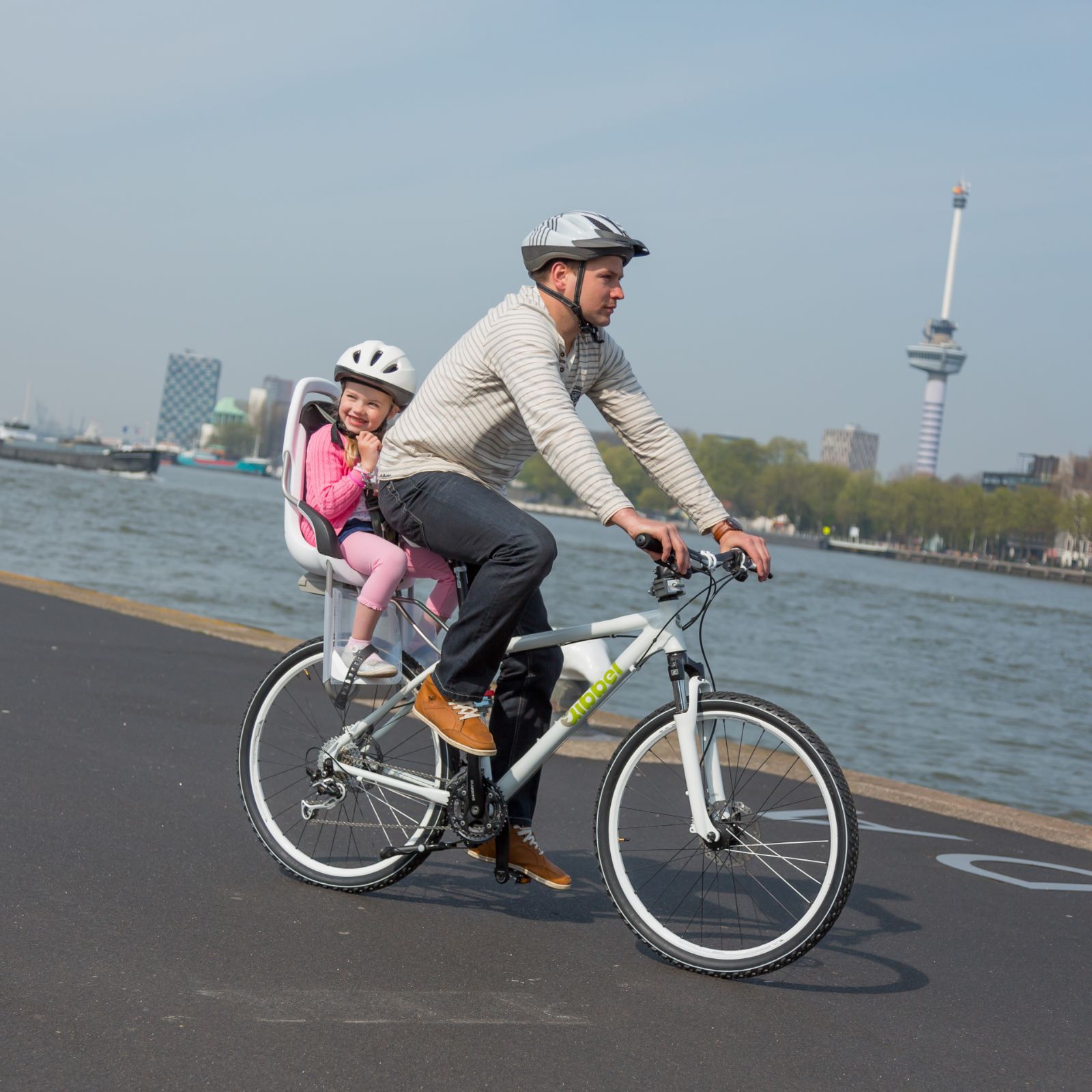 未使用　自転車後用チャイルドシート　ベーシック 未使用 自転車後用チャイルドシート ベーシック