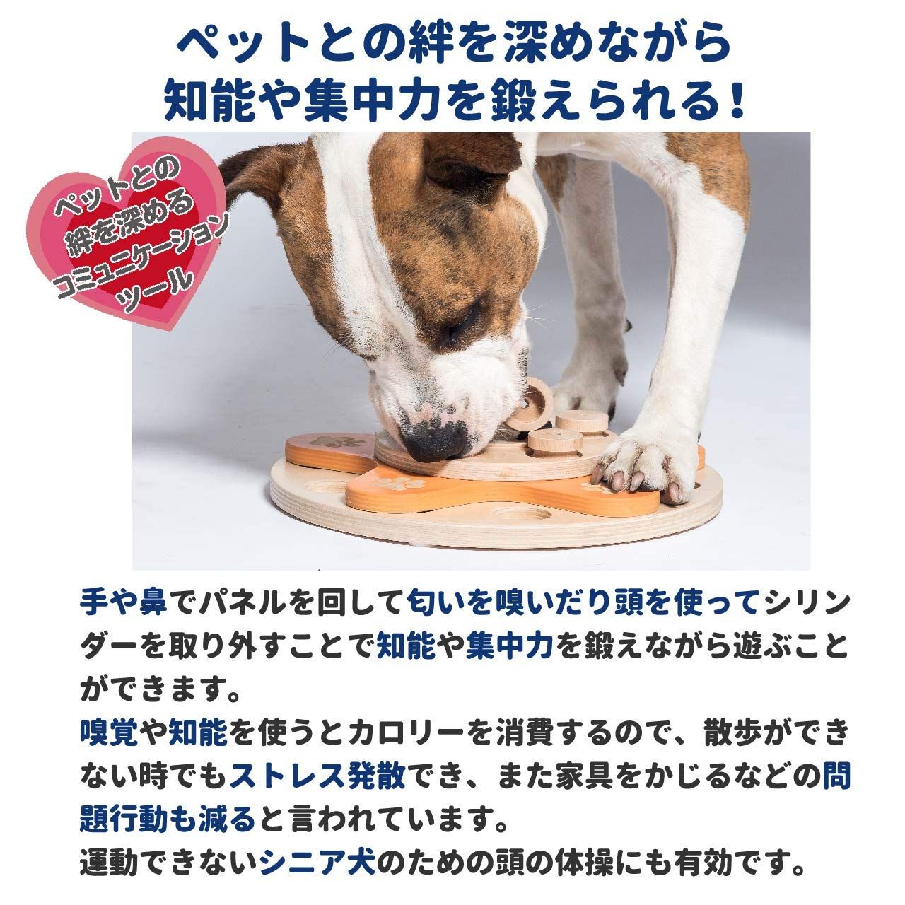 運動不足 認知症予防