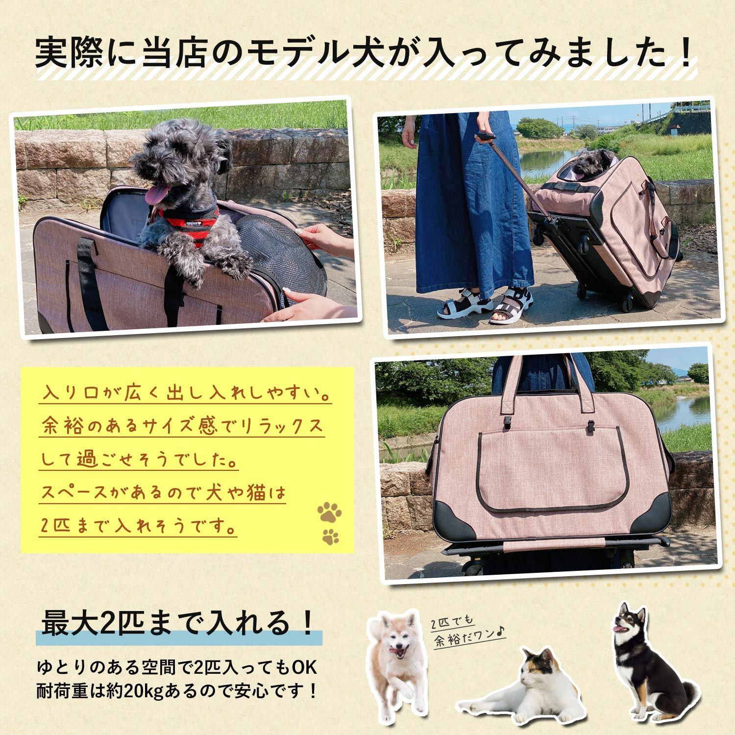 犬 SunRuck