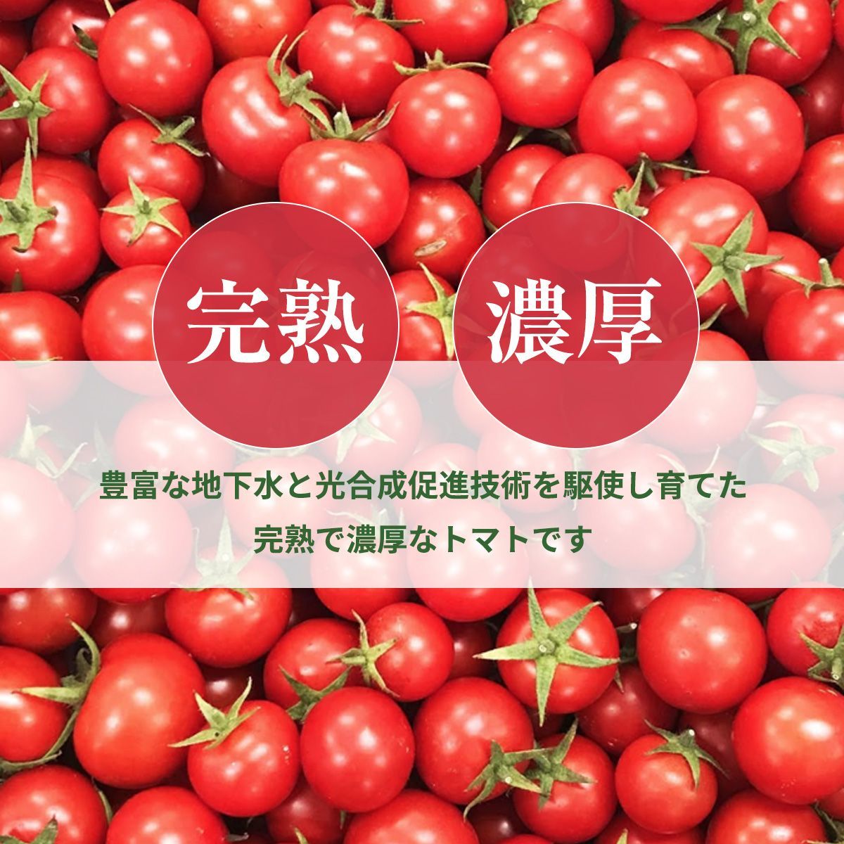 トマト