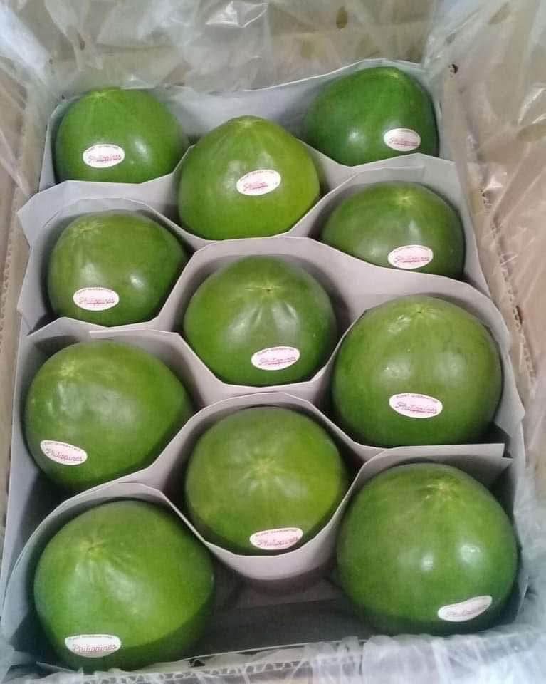 野菜セット４ 5月29日木曜日に入荷予定 入荷次第出荷 生鮮 5kg野菜パパイヤ 10kgニンニク 10ライム 5kg生姜 特選