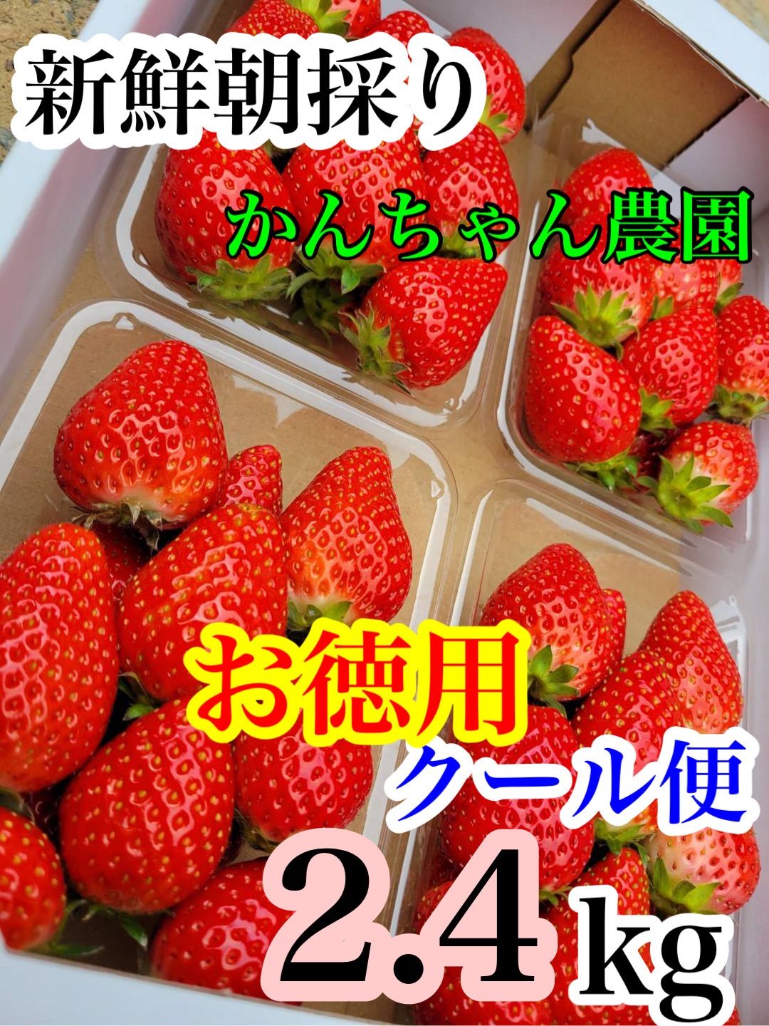 「新鮮朝採り」クール便❗️2箱かんちゃん農園 甘いいちご