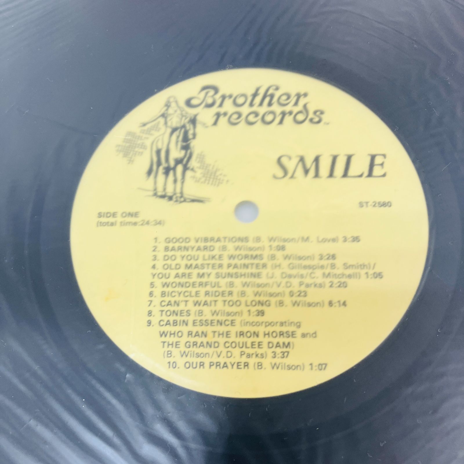 Brian Wilson　ブライアン・ウィルソン　 レコード BRIAN WILSON (ブライアン・ウィルソン) - サントラ：Long