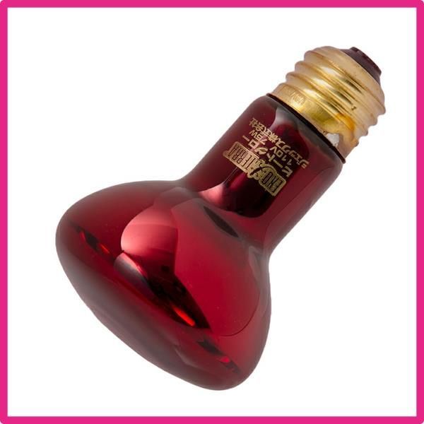 GEX ジェックス エキゾテラ ヒートグロー スポットランプ 6個セット