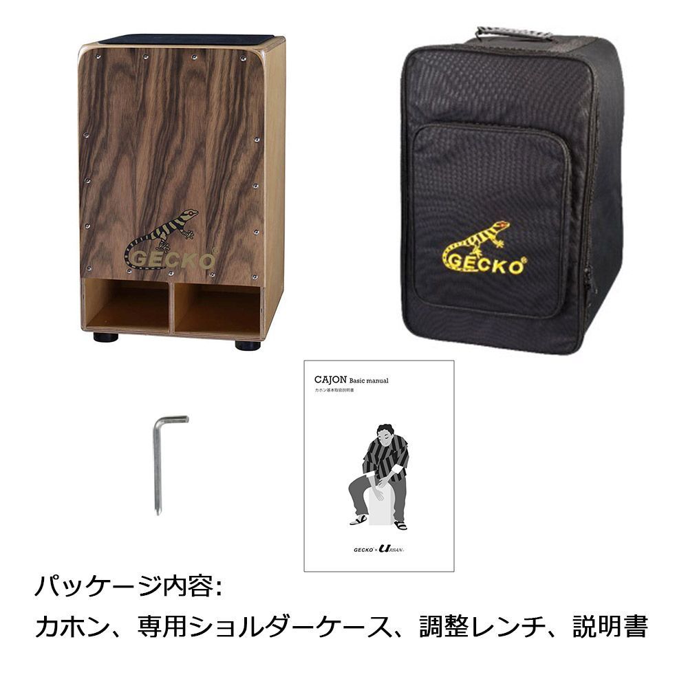 ケース付き 内部ギター弦