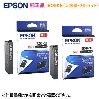 ネコポス便 2個セット EPSON エプソン 純正インクカートリッジ IB09KB 目印 電卓 大容量 ブラック 純正品