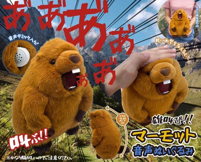 けたたましい雄叫び‼︎ マーモット 音声ぬいぐるみ 約27cm 動作