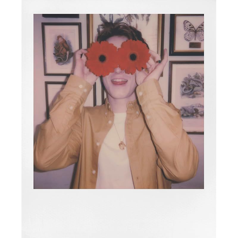 ポラロイド インスタントフィルム