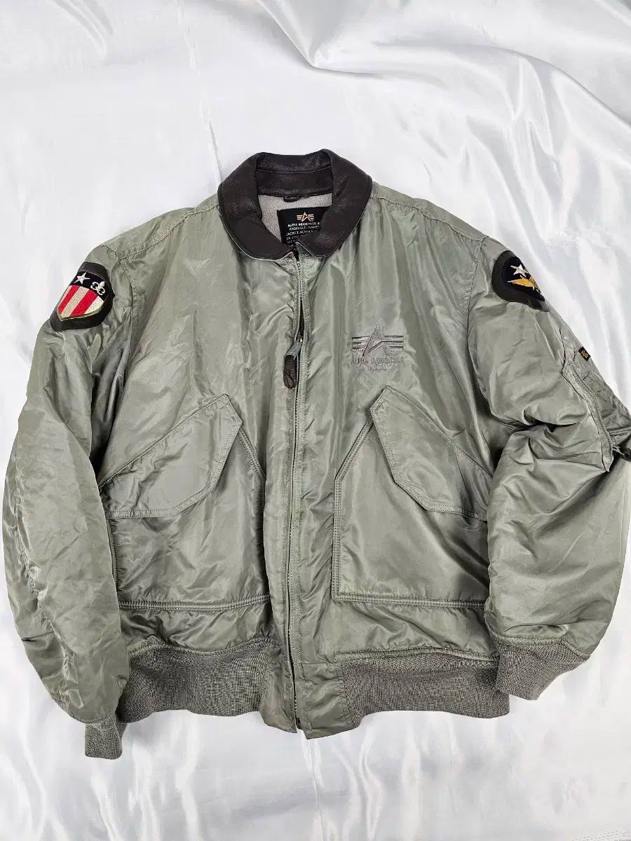 ALPHA INDUSTRIES(アルファ インダストリーズ) cwu ー 45p
