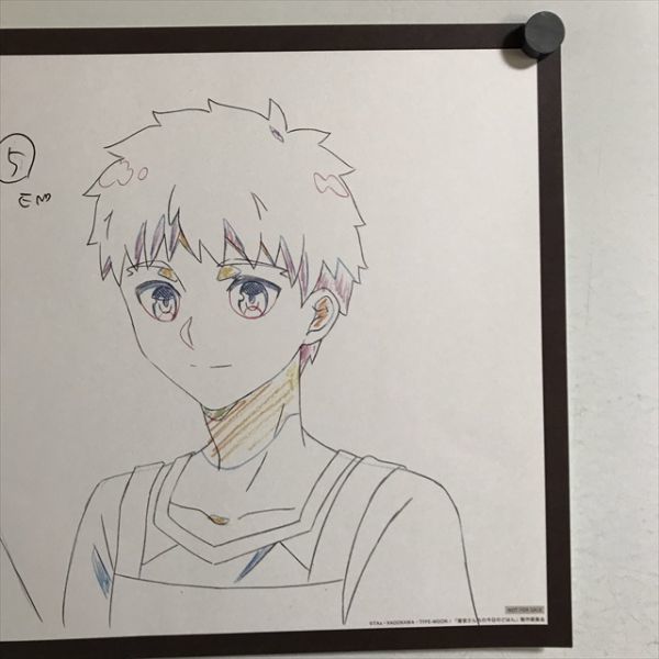 X529 ◇衛宮さんちの今日のごはん 衛宮士郎 A3サイズ ランチョンマット