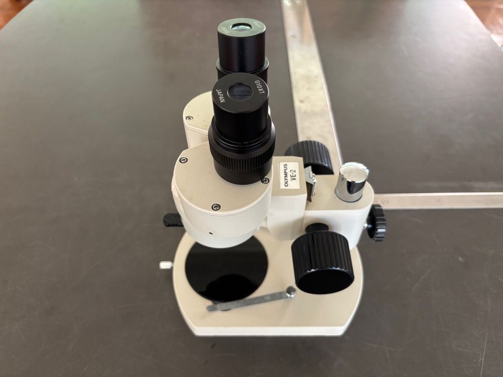 双眼実体顕微鏡