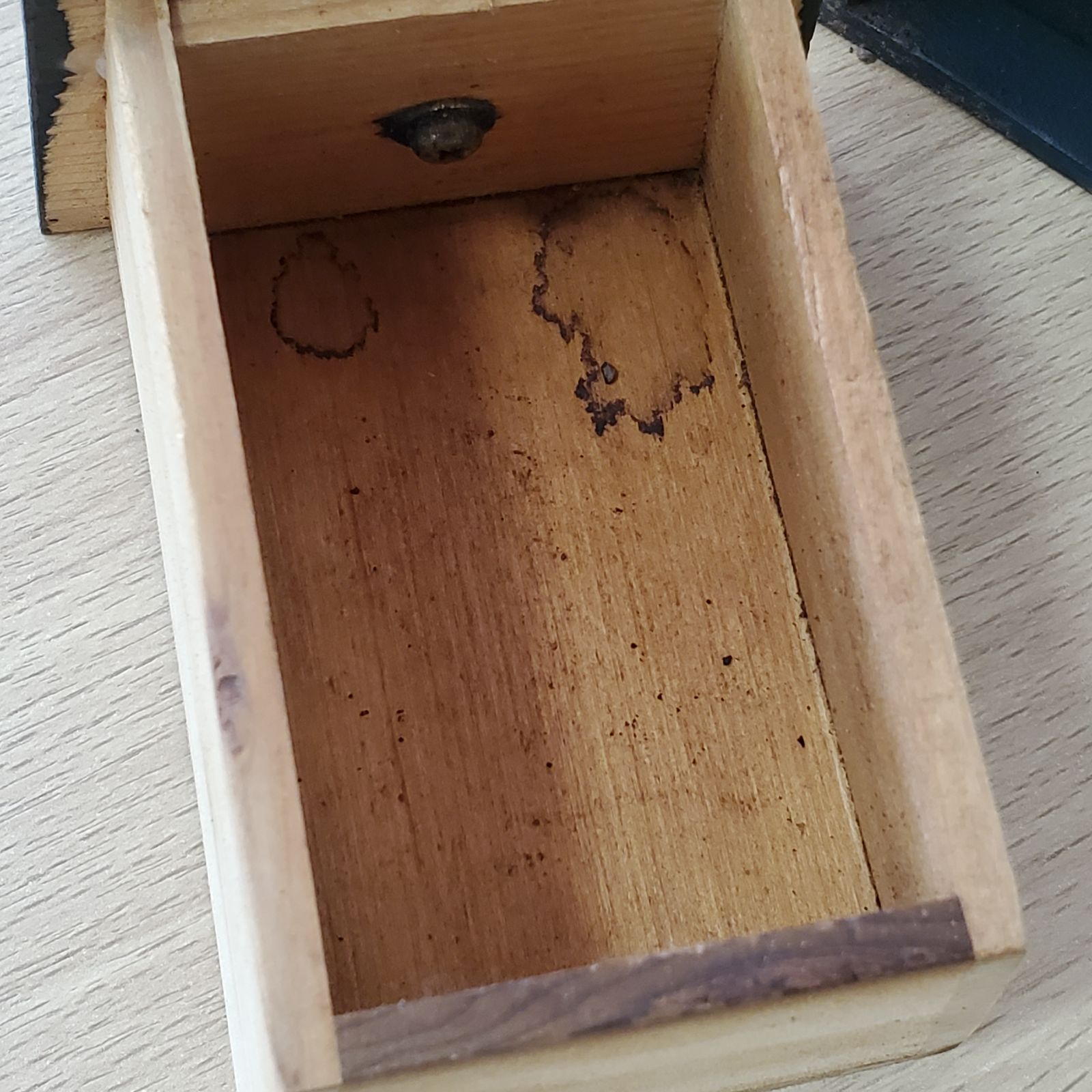 Kalita カリタ