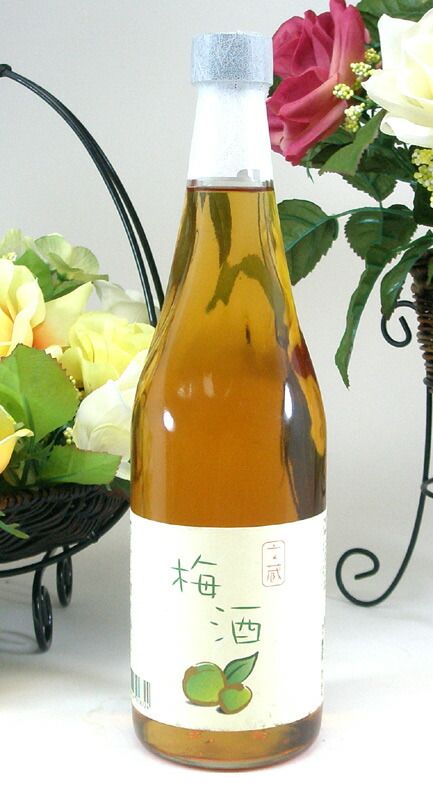 12本セット 木下醸造所 文蔵梅酒 18％ 720ｍｌ×12本