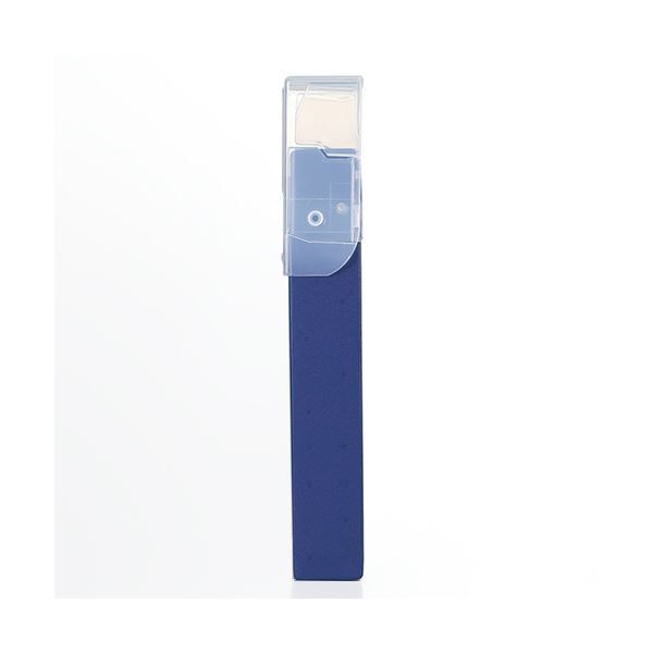 簡単な まとめ リヒトラブ CUBE FIZZコングレスケース A4 グリーン A-6024-7 1個 ×30セット