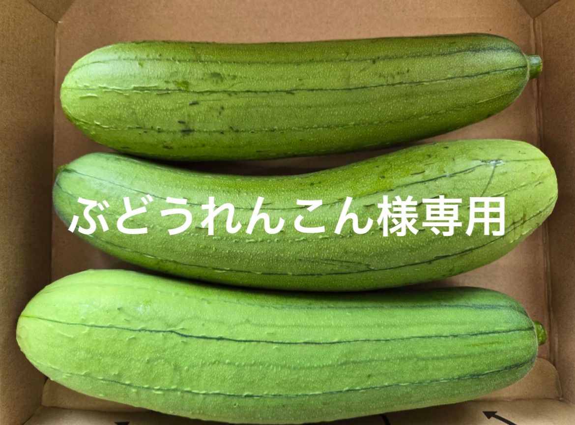 ヤマ様専用 やまの様専用 yama様専用 月山様専用出品 | ヤマ様専用 やまの様専用 yama様専用 月山様専用出品 |