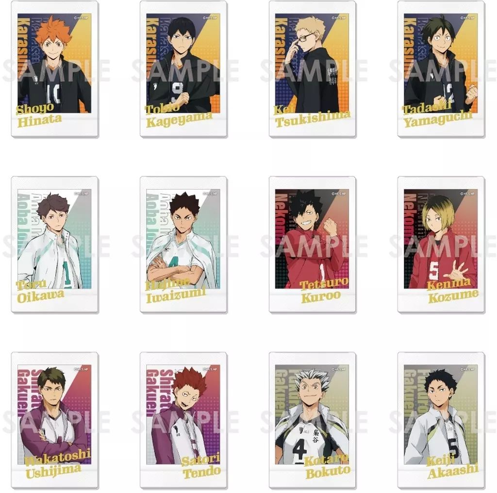 Amazon.co.jp: ハイキュー ステータスカード コレクション 第2弾 全15