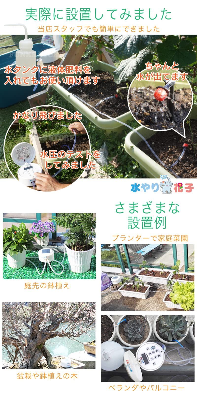 1週間 水やり花子