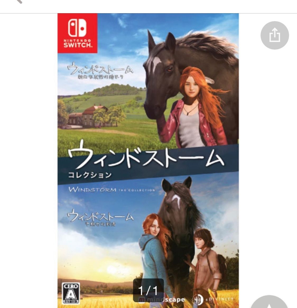 ウィンドストーム ザ・コレクション Nintendo Switch - メルカリ