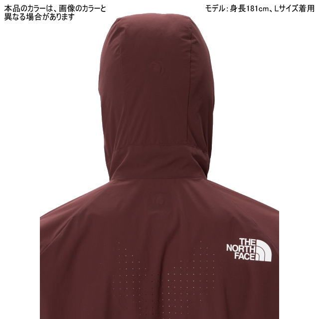 メンズ ティングレー