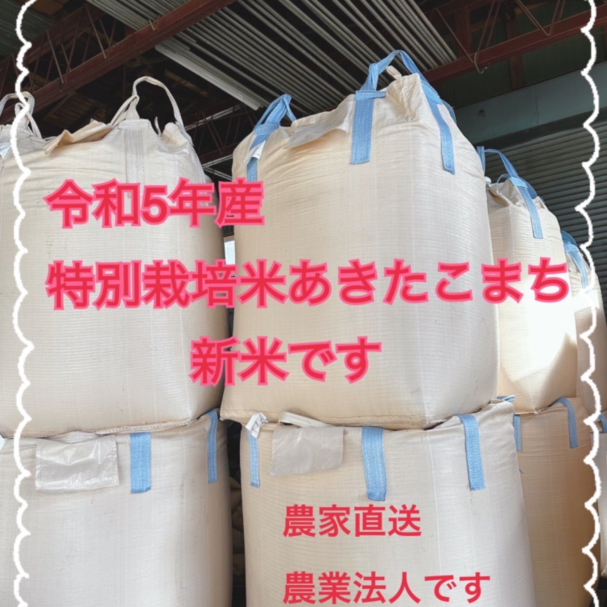 ☆送料込み☆新米　特別栽培米あきたこまち5kg農家直送　メルカリ