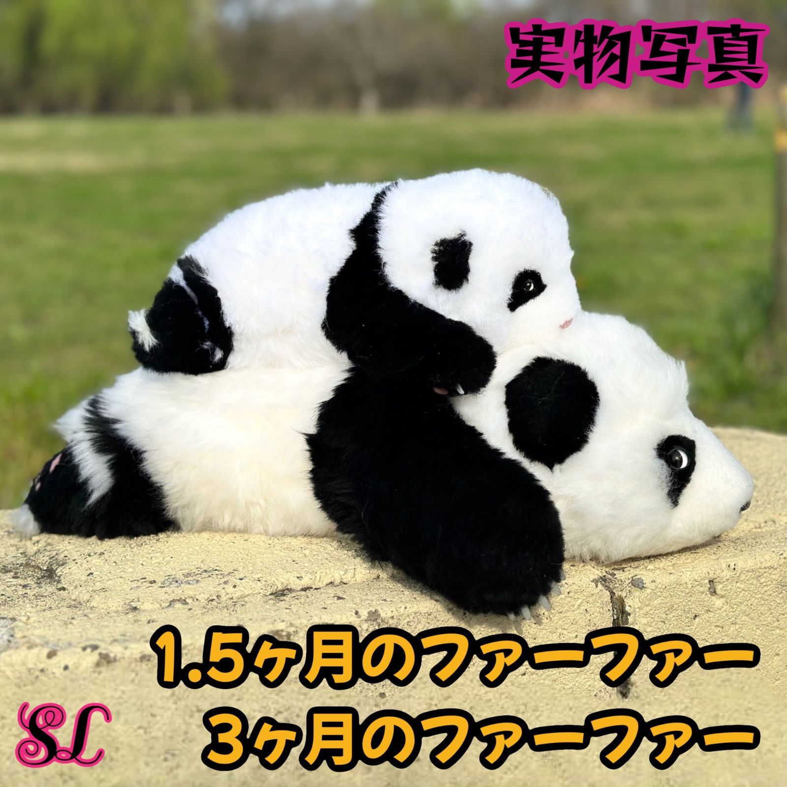 最高プレゼント大切な方へ真心の寄り添い無限喜びリアルパンダ