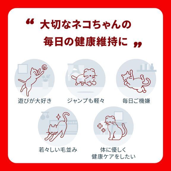 猫用