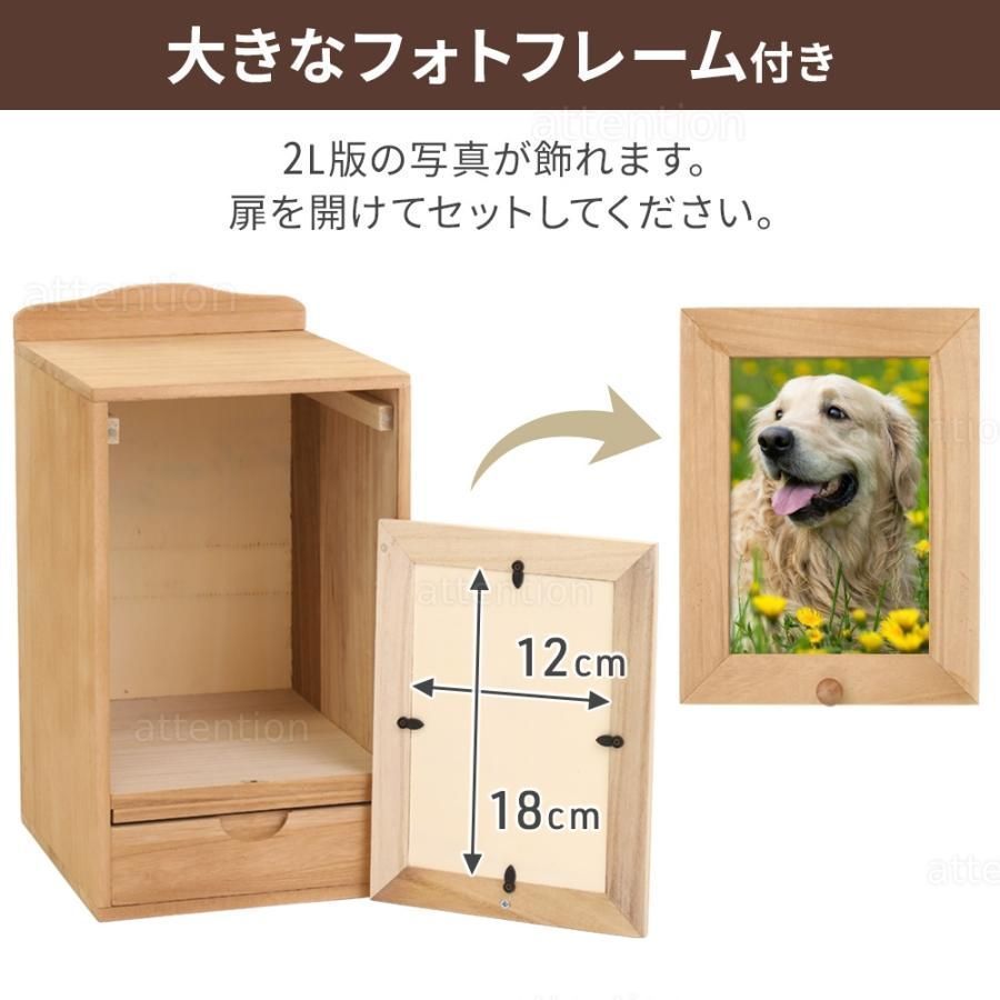 犬