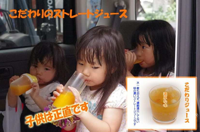 濃縮還元してない