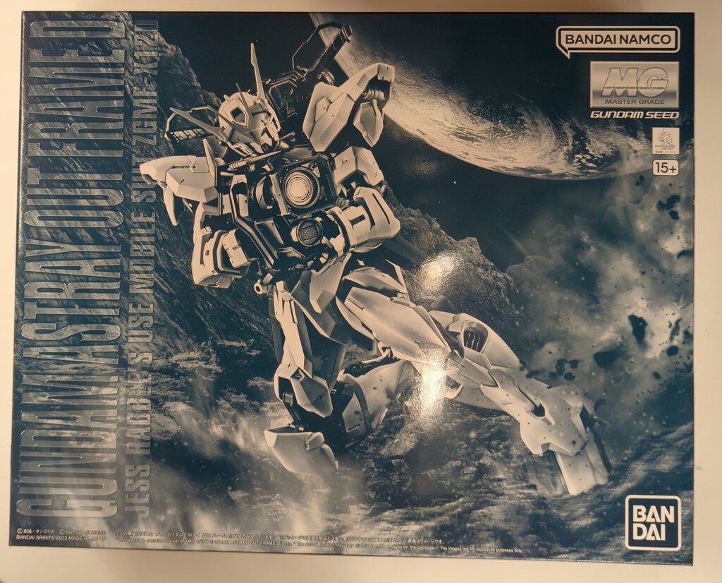 MG　機動戦士ガンダムSEEDDESTINY　アストレイ　アウトフレームD 機動戦士ガンダムSEED DESTINY ASTRAY：“規格外の機体”MG
