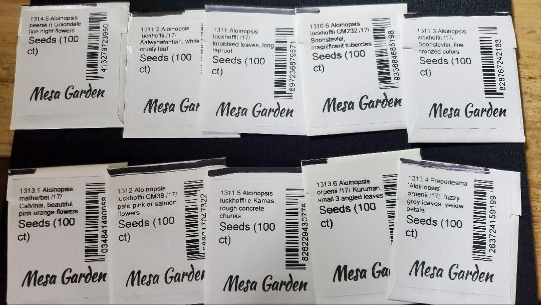 ２０粒ずつセット