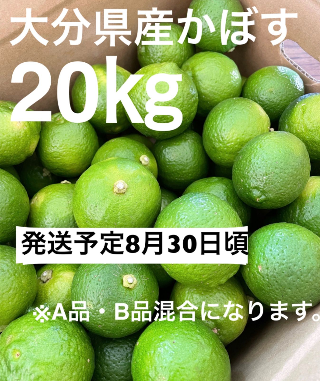 大分県産カボス（かぼす　　発送予定8月30日頃発送予定 大分県産カボス（かぼす 8月30日頃発送予定分 - メルカリ