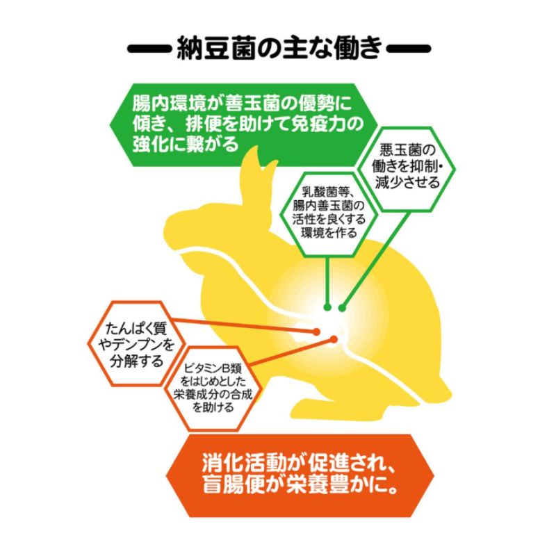 国産 多頭飼い