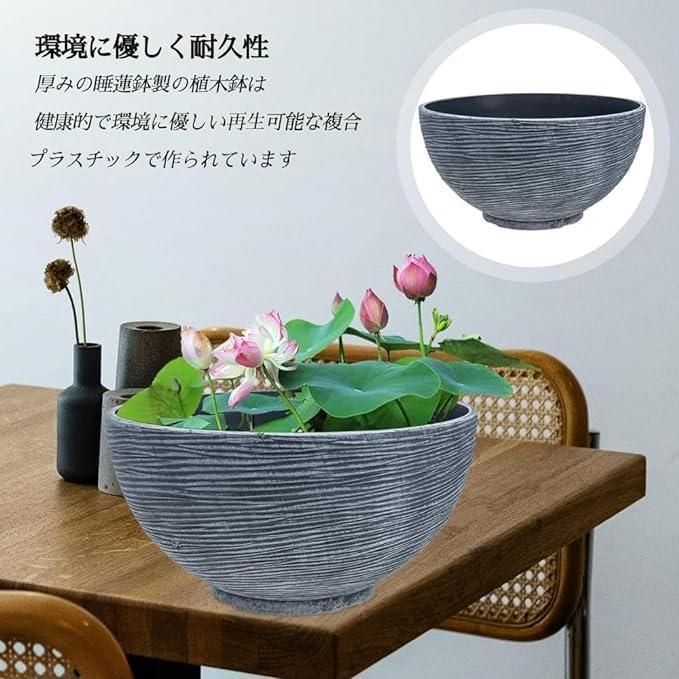 睡蓮鉢