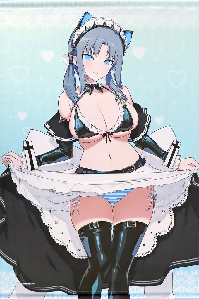 タペストリー 雪泉 描き下ろしB 2タペストリー ボンテージメイドver. 閃乱カグラ×ドン キホーテ